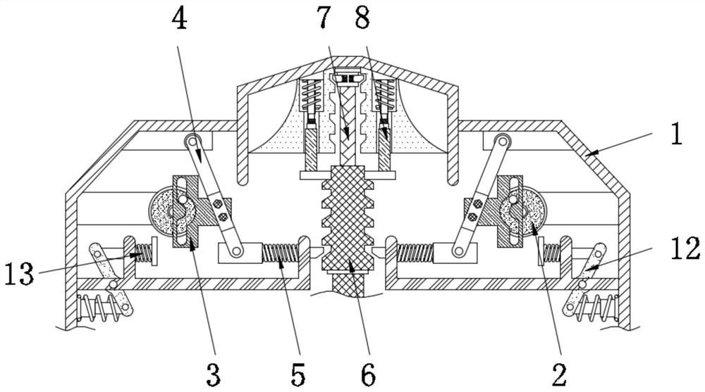 Carp breeding oxygenating device with automatic feeding function