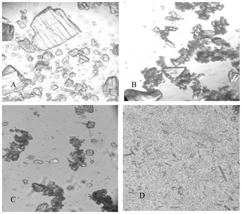 A kind of magnetic fenofibrate-cyclodextrin inclusion compound