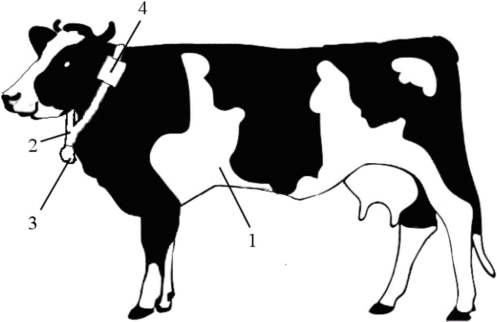 A ruminant monitoring system