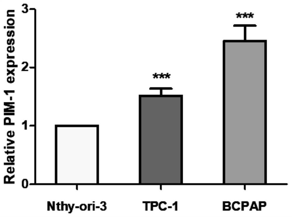 Papillary thyroid carcinoma biomarker and application thereof