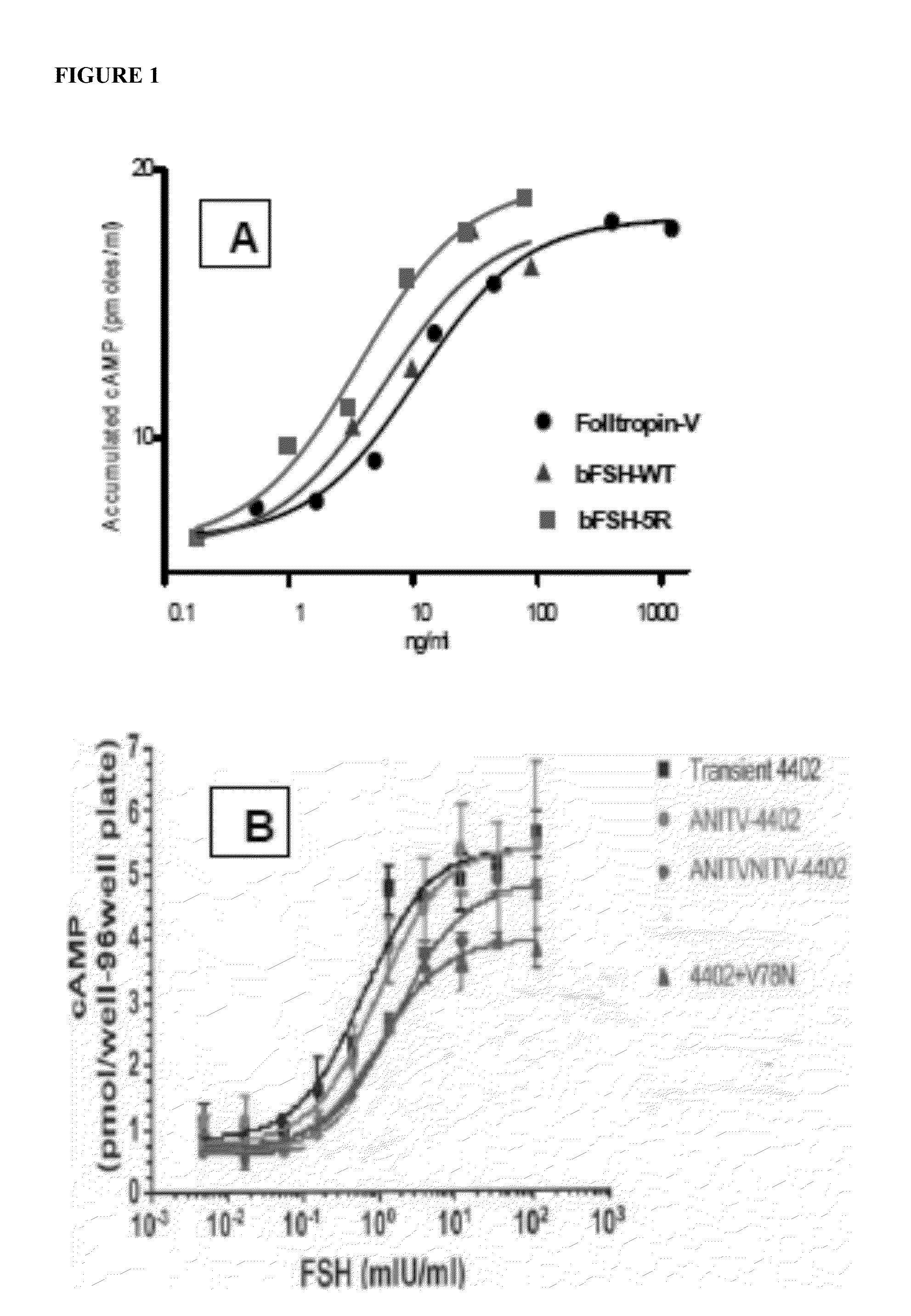 Glycoprotein homone long-acting superagonists