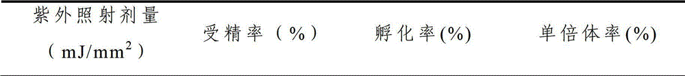 Inducing method for gynogenetic diploid of Nibea albiflora