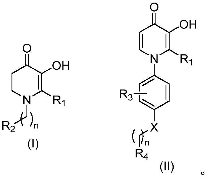 3-hydroxypyridine-4-ketone derivative and application thereof in inhibition of renal cell ferroptosis