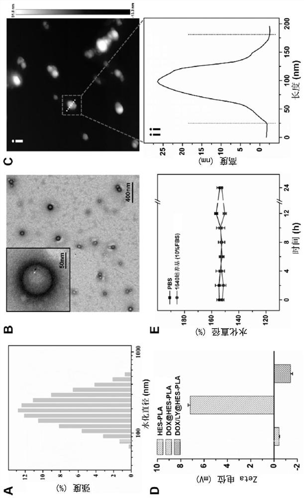 Nano drug-carrying system, its preparation method, pharmaceutical composition and application in treating cancer