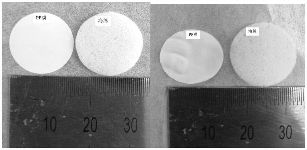 Electrode sheet for lithium metal battery, preparation method thereof, and lithium metal battery