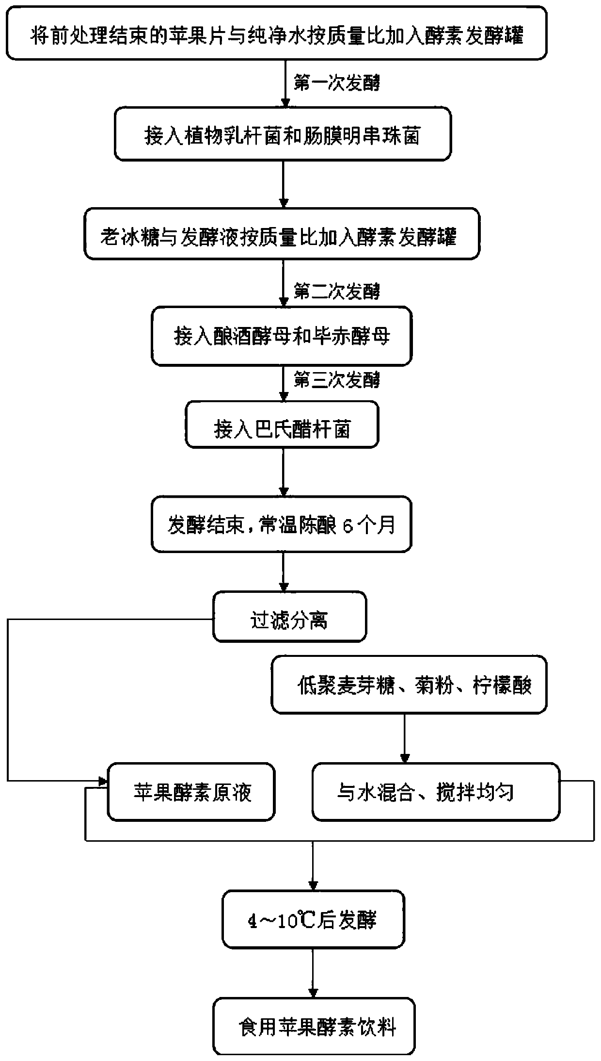 Edible apple enzyme beverage and preparation method thereof