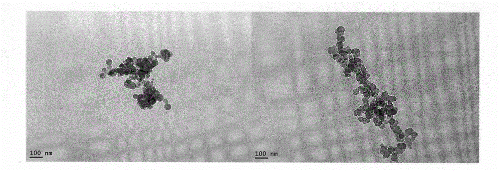 Octapeptide modified dexamethasone, preparation, nano-structure and application thereof