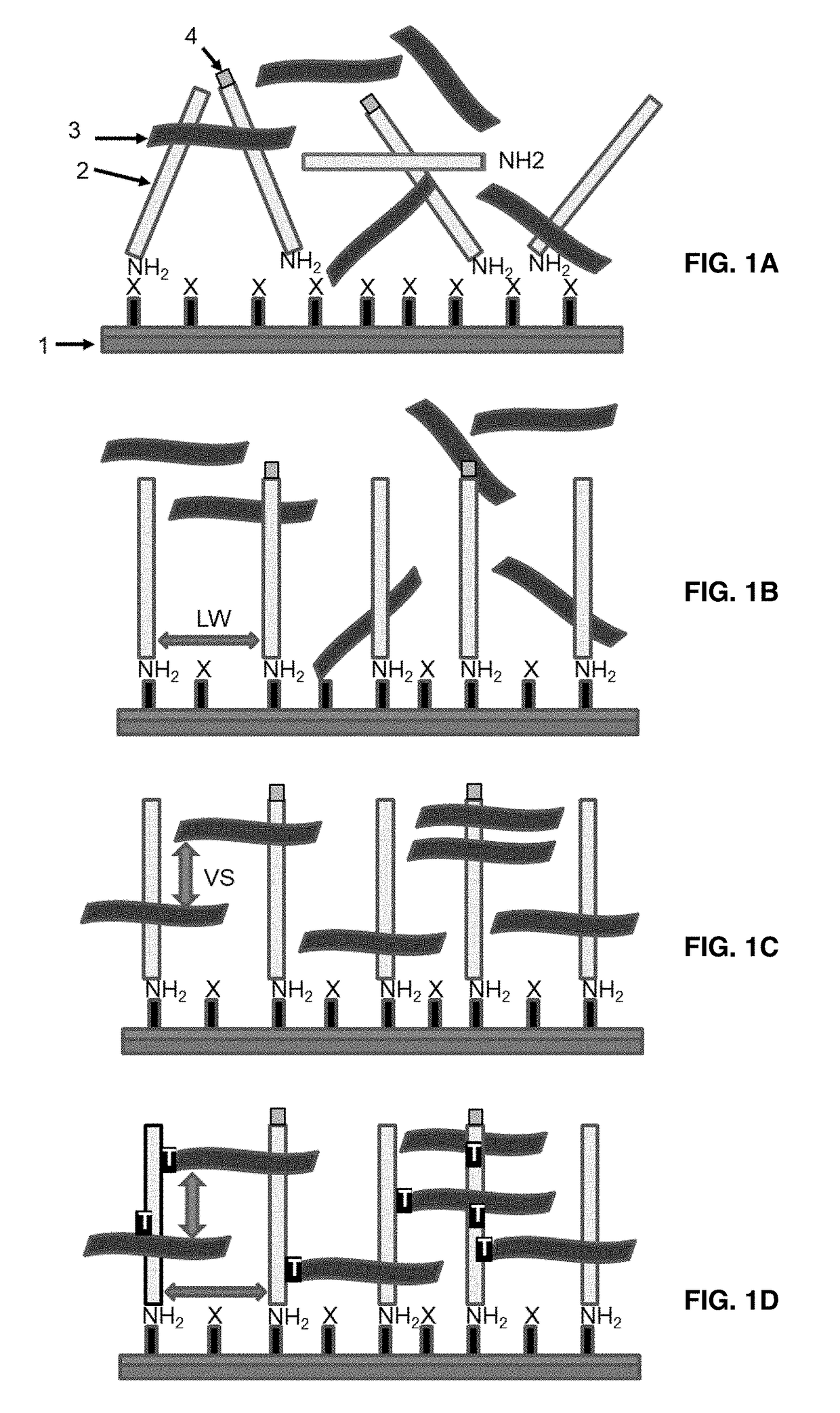 Microarray Based Multiplex Pathogen Analysis and Uses Thereof