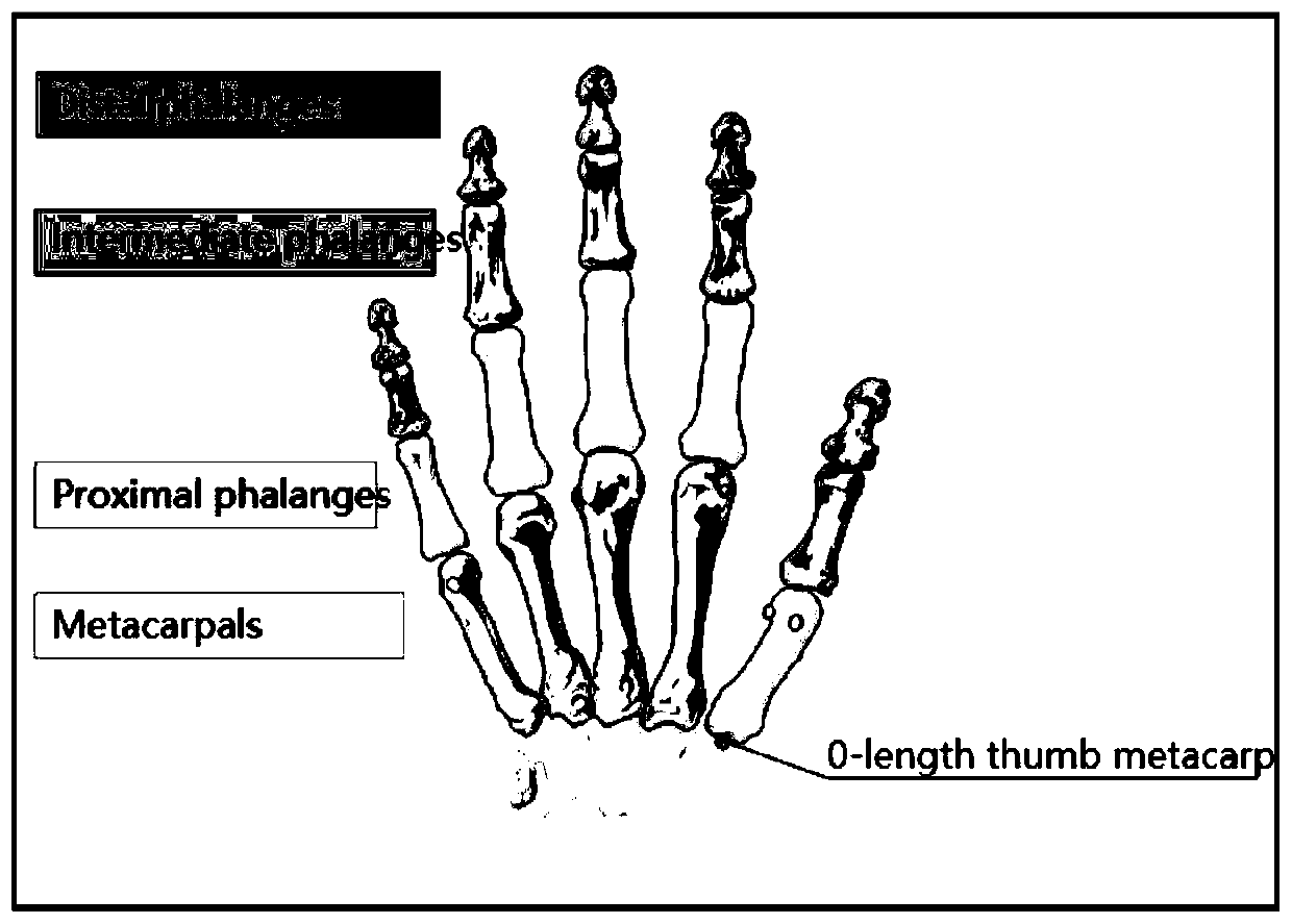 Complex dynamic gesture recognition method based on Leap Motion