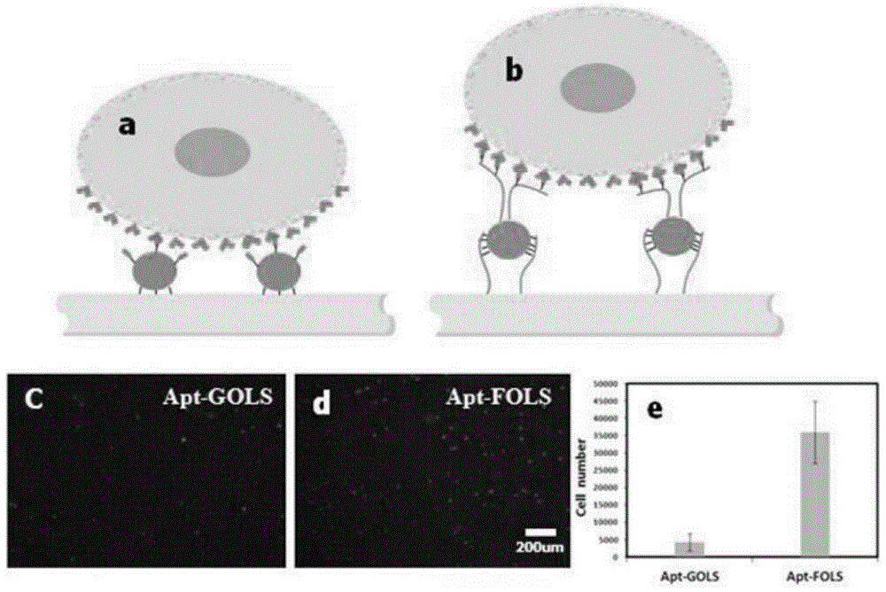 Multi-capture-ligand-modified multi-layer nanoparticle flexible stent of target cell and application of multi-layer nanoparticle flexible stent