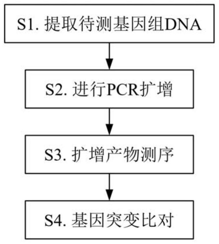 Relapse and drug resistance gene mutation detection kit and application method of acute lymphoblastic leukemia