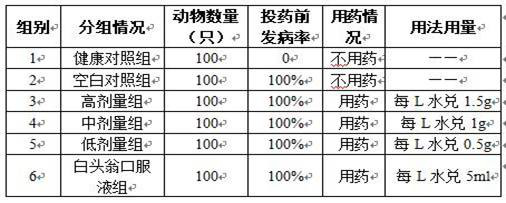 Preparation process and application of pulsatilla chinensis soluble powder