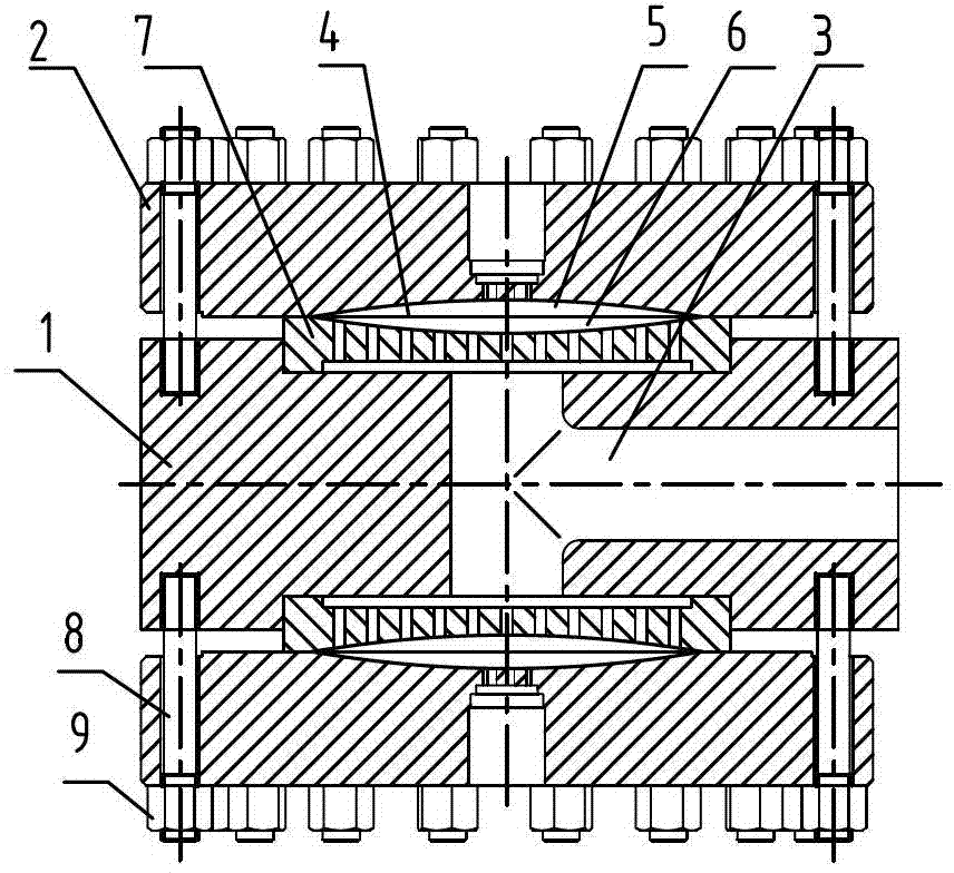 Diaphragm type compressor integration cylinder body component with ...