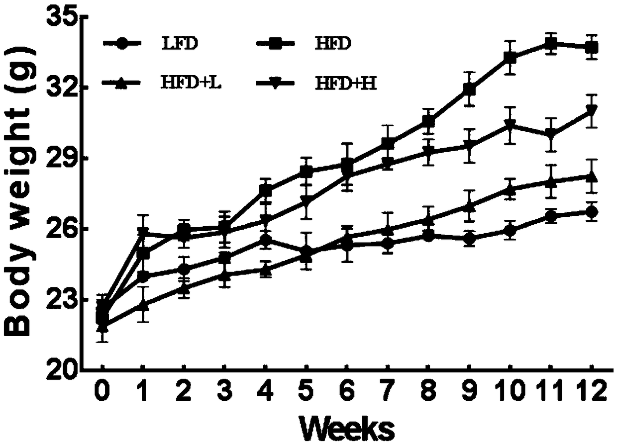 Weight-reducing application of apios americana medikus tuber ethanol extract