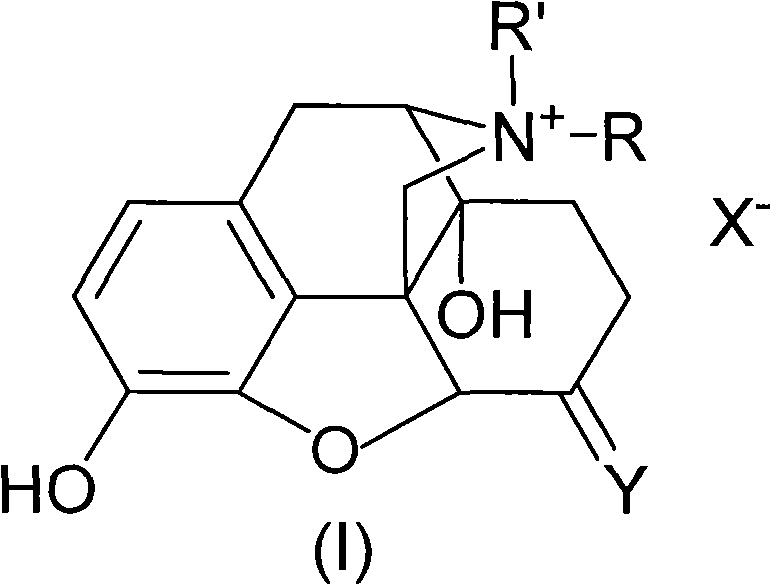 Morphinone quaternary ammonium salt derivatives and preparation method thereof