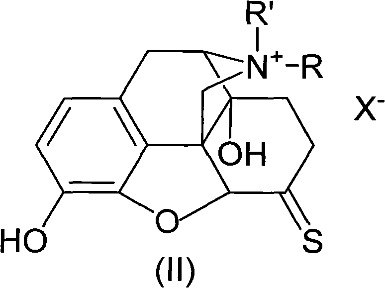 Morphinone quaternary ammonium salt derivatives and preparation method thereof