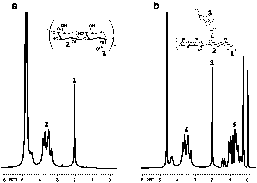 Hepatic stellate cell targeted hyaluronic acid nano-micelle, preparation method and application thereof