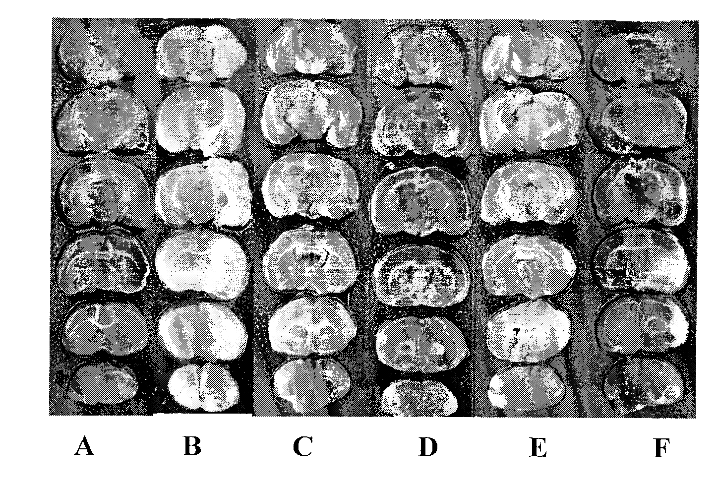 Composition containing Chinese medicine active ingredients and application thereof