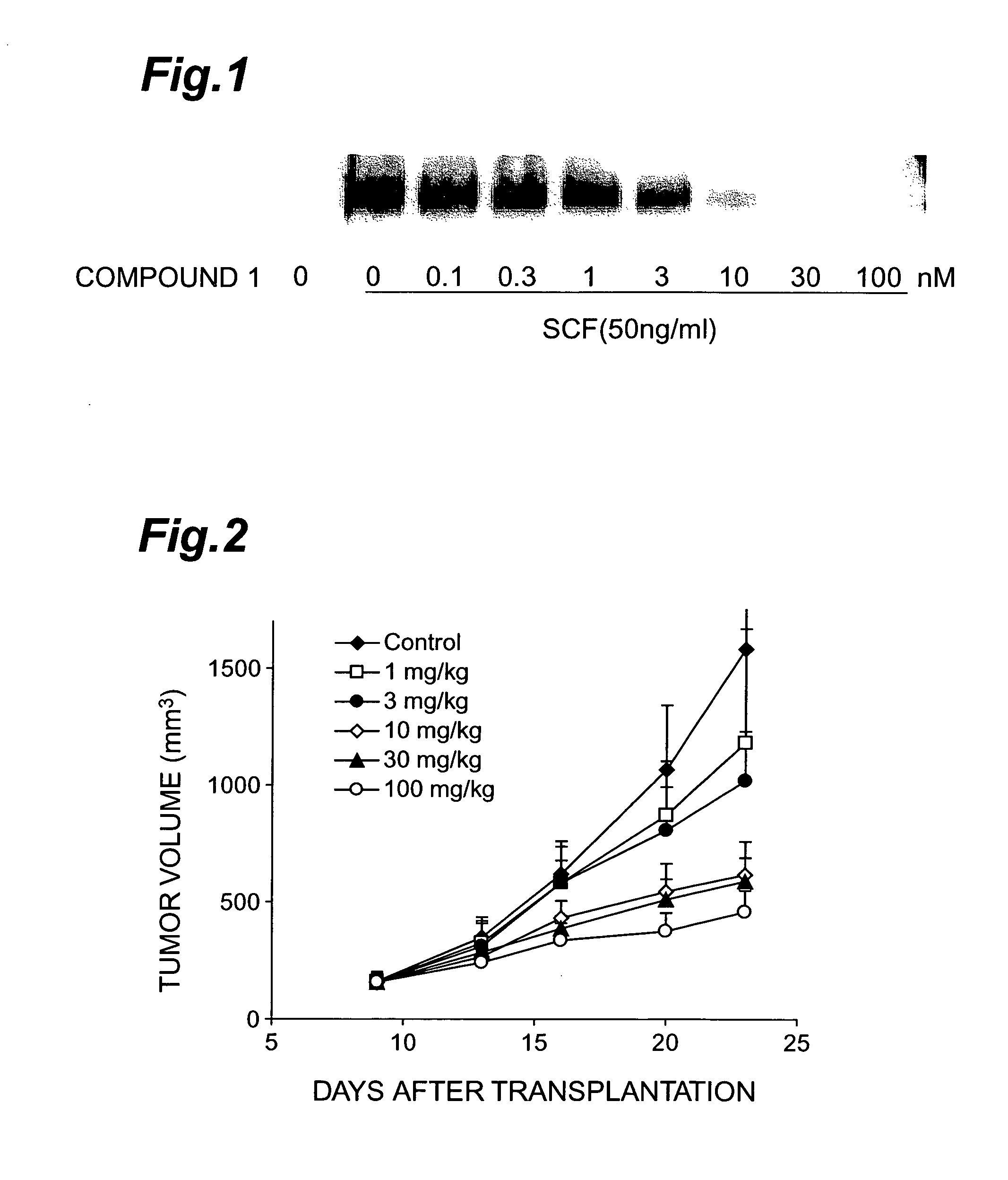 c-Kit kinase inhibitor