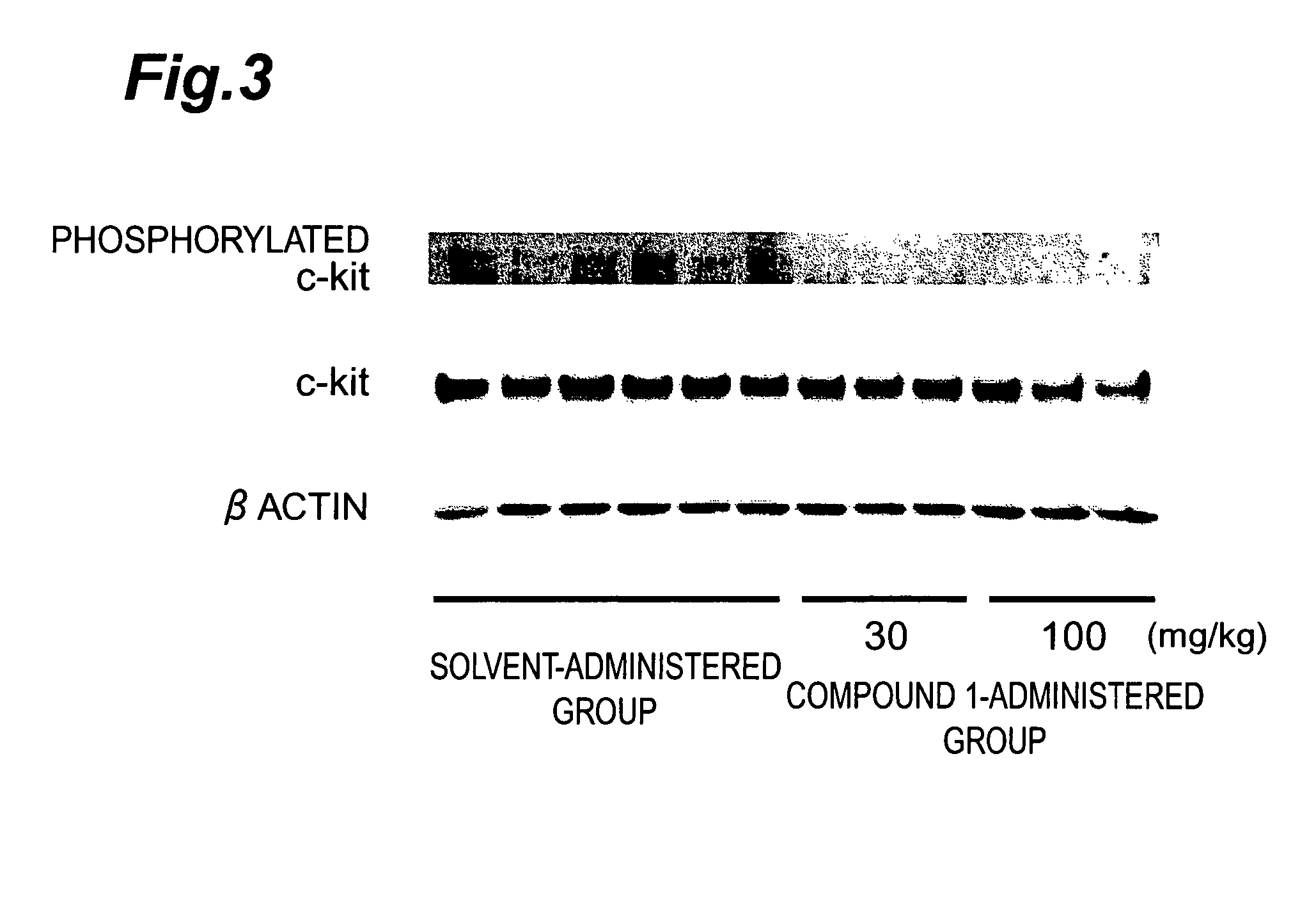 c-Kit kinase inhibitor