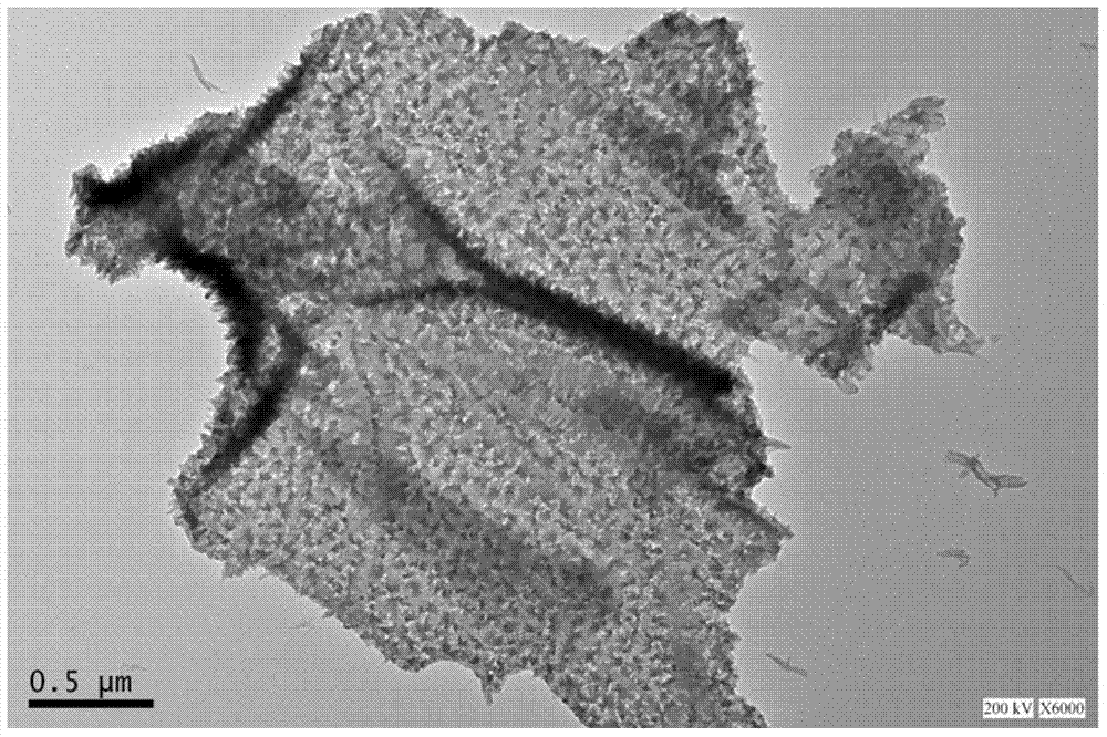 Electrogenerated chemiluminescence immunosensor for detecting human interleukin 6 as well as preparation method and detection method of immunosensor