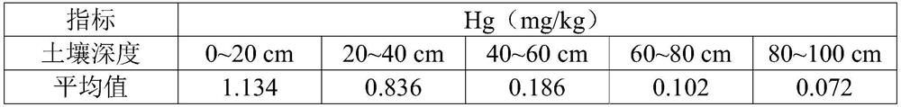 Layered replacement repair method for mercury-polluted farmland