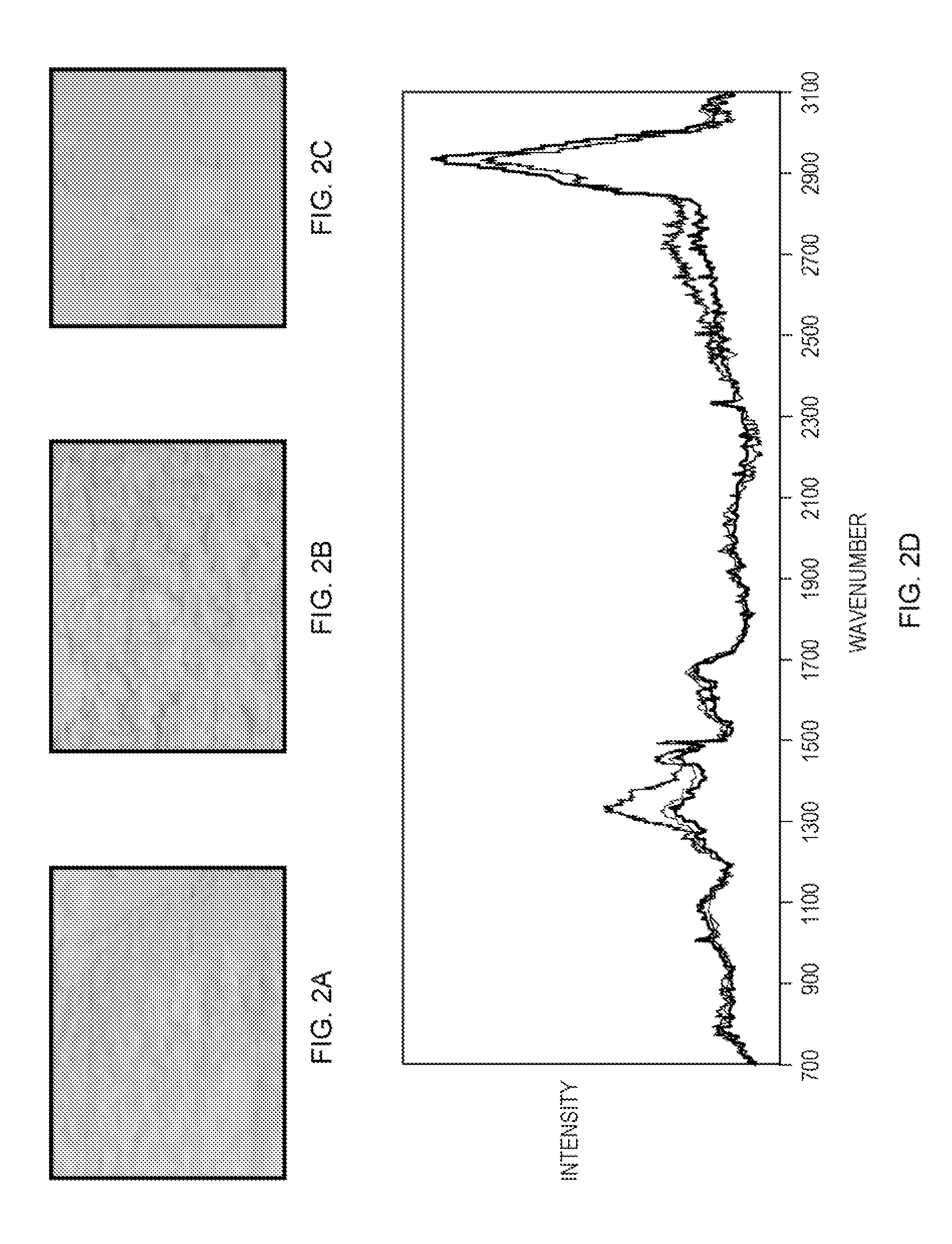 Spectral imaging of biofilms