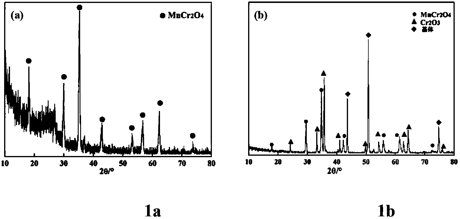 Preparation method forming protective film by alloy surface in-situ oxidation reaction