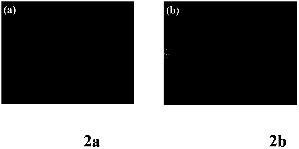 Preparation method forming protective film by alloy surface in-situ oxidation reaction