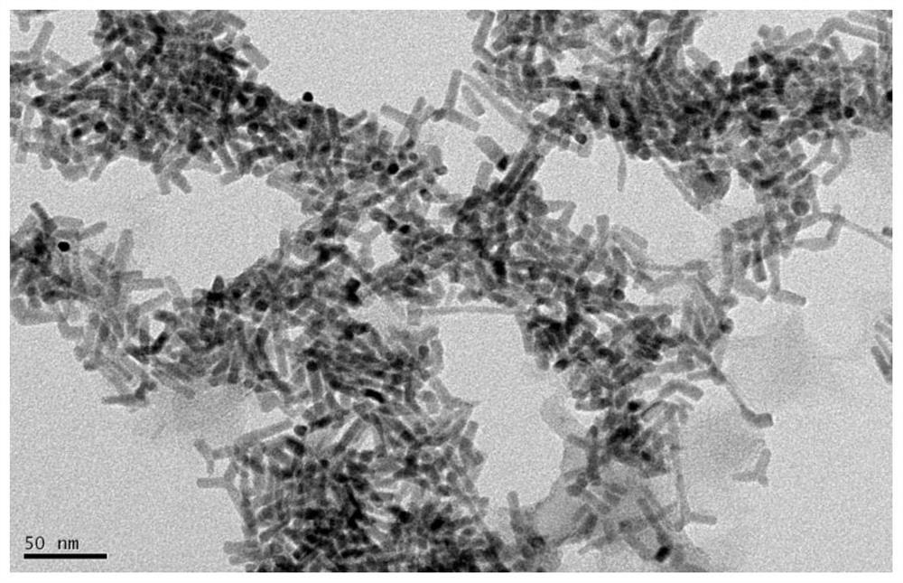 Preparation method of phosphorus-doped cadmium sulfide supported nickel carbide quantum dot nanorod photocatalyst