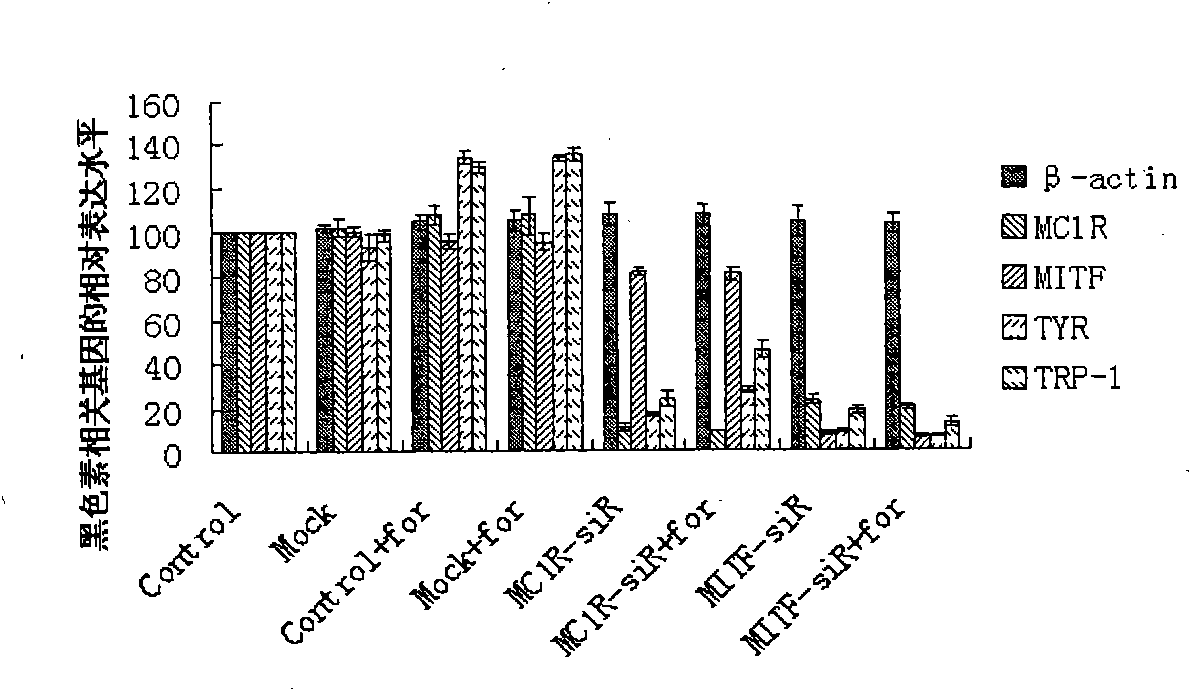 Formulation of small RNA/DNA whitening product and preparation method thereof