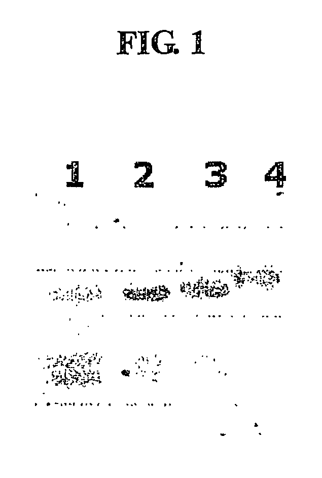 Method for the mass production of immunoglobulin constant region