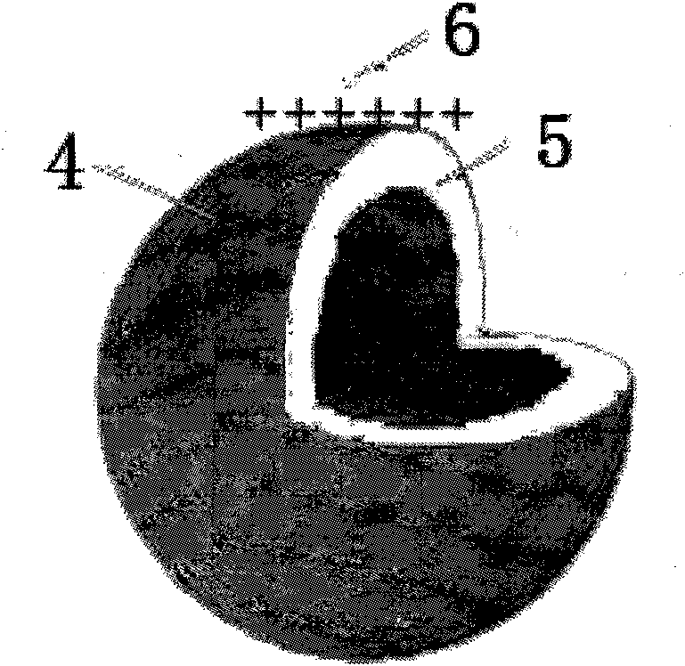 Liquid biochip system