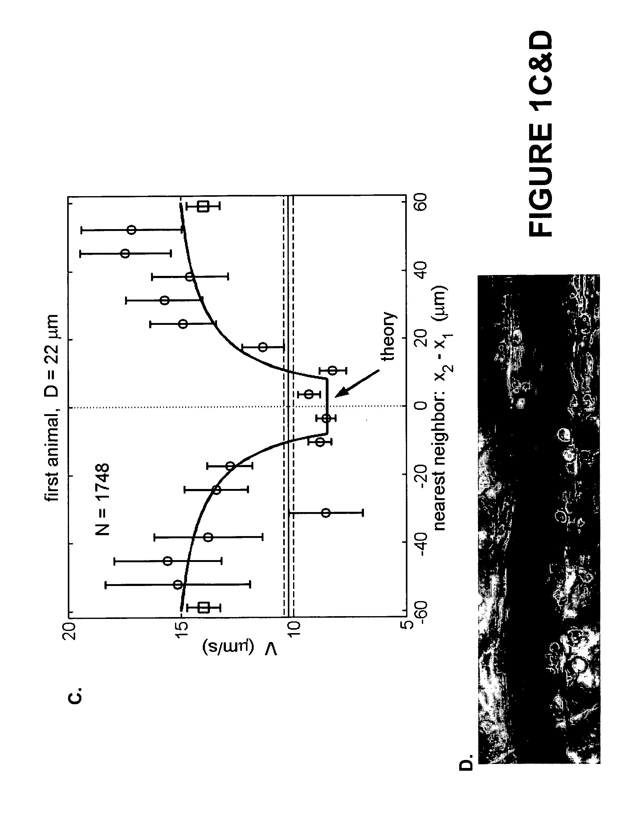 Continuous flow chamber device for separation, concentration, and/or purfication of cells