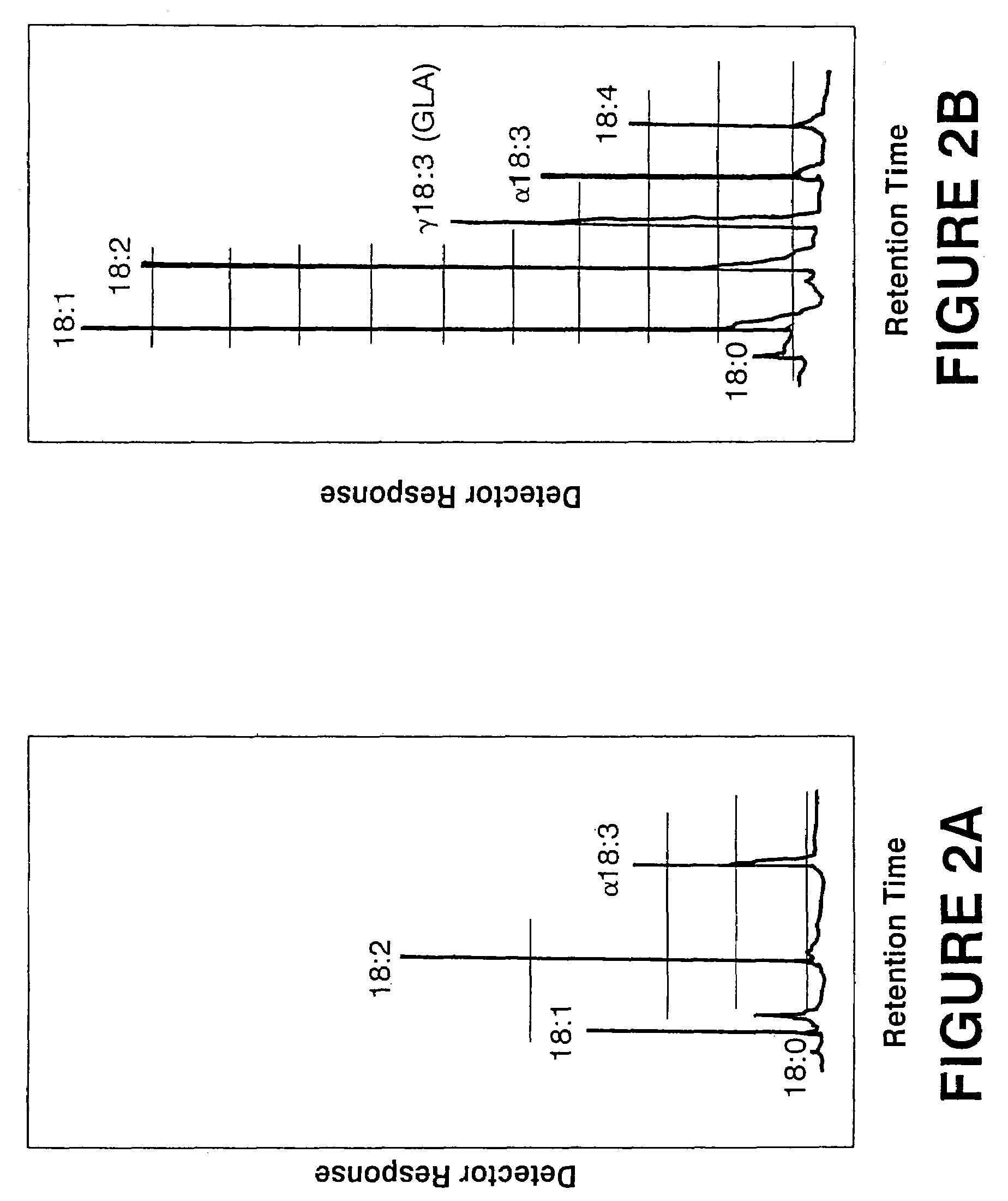 Production of gamma linolenic acid by a Delta 6-desaturase