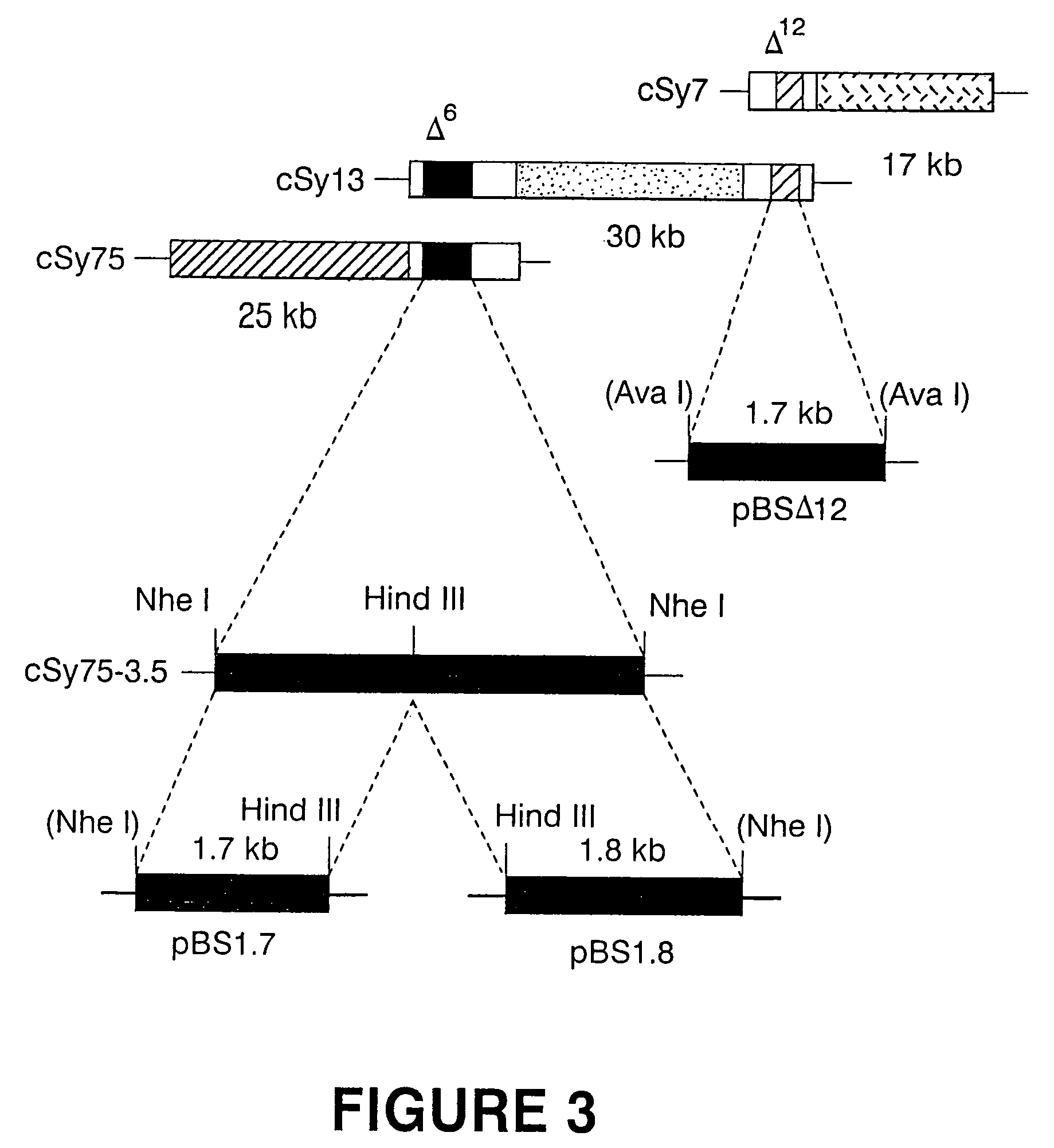 Production of gamma linolenic acid by a Delta 6-desaturase