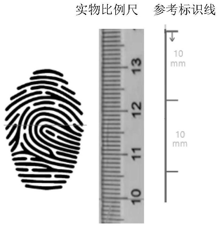 Fingerprint image extraction method