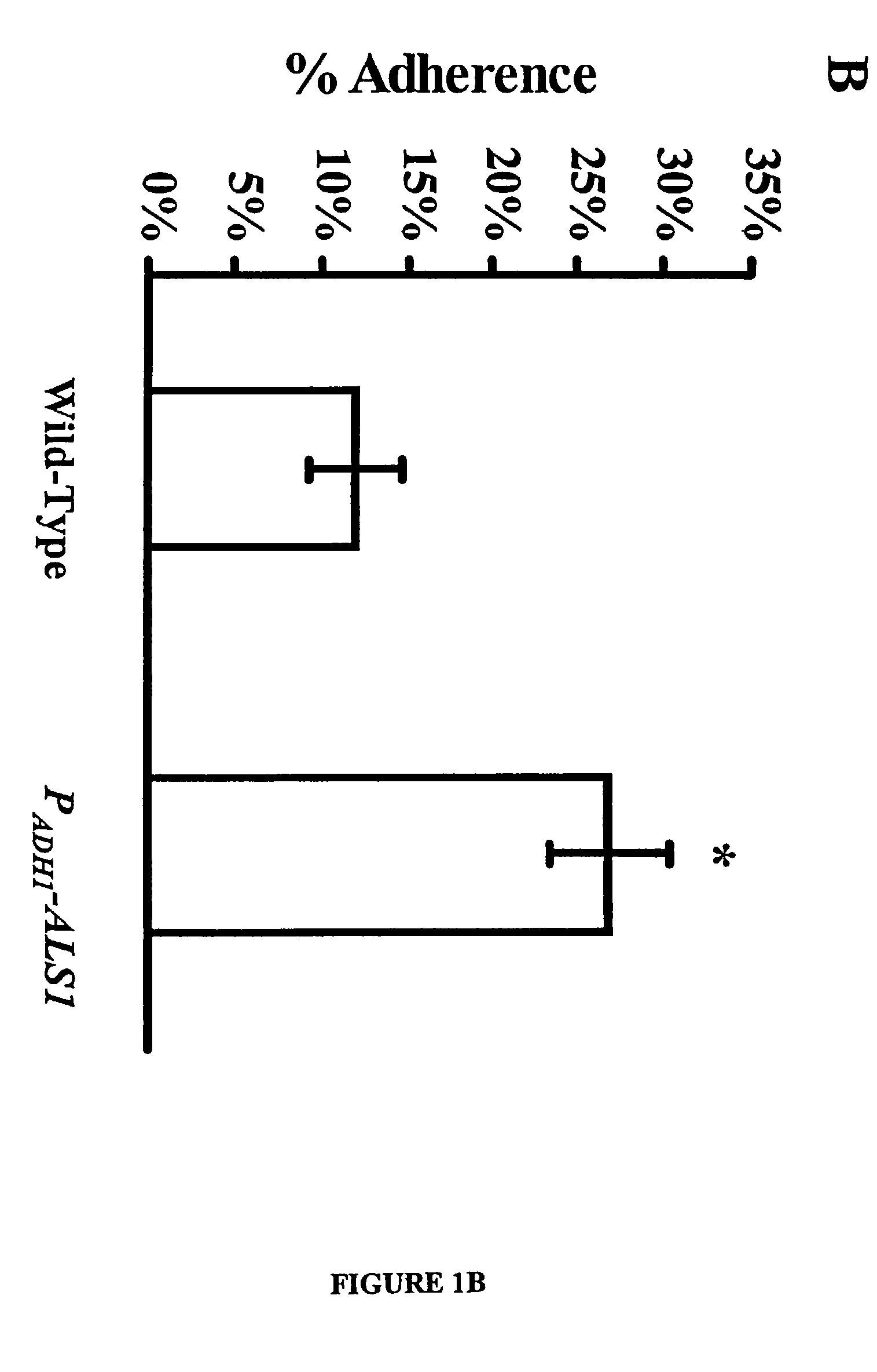 Pharmaceutical compositions and methods to vaccinate against candidiasis