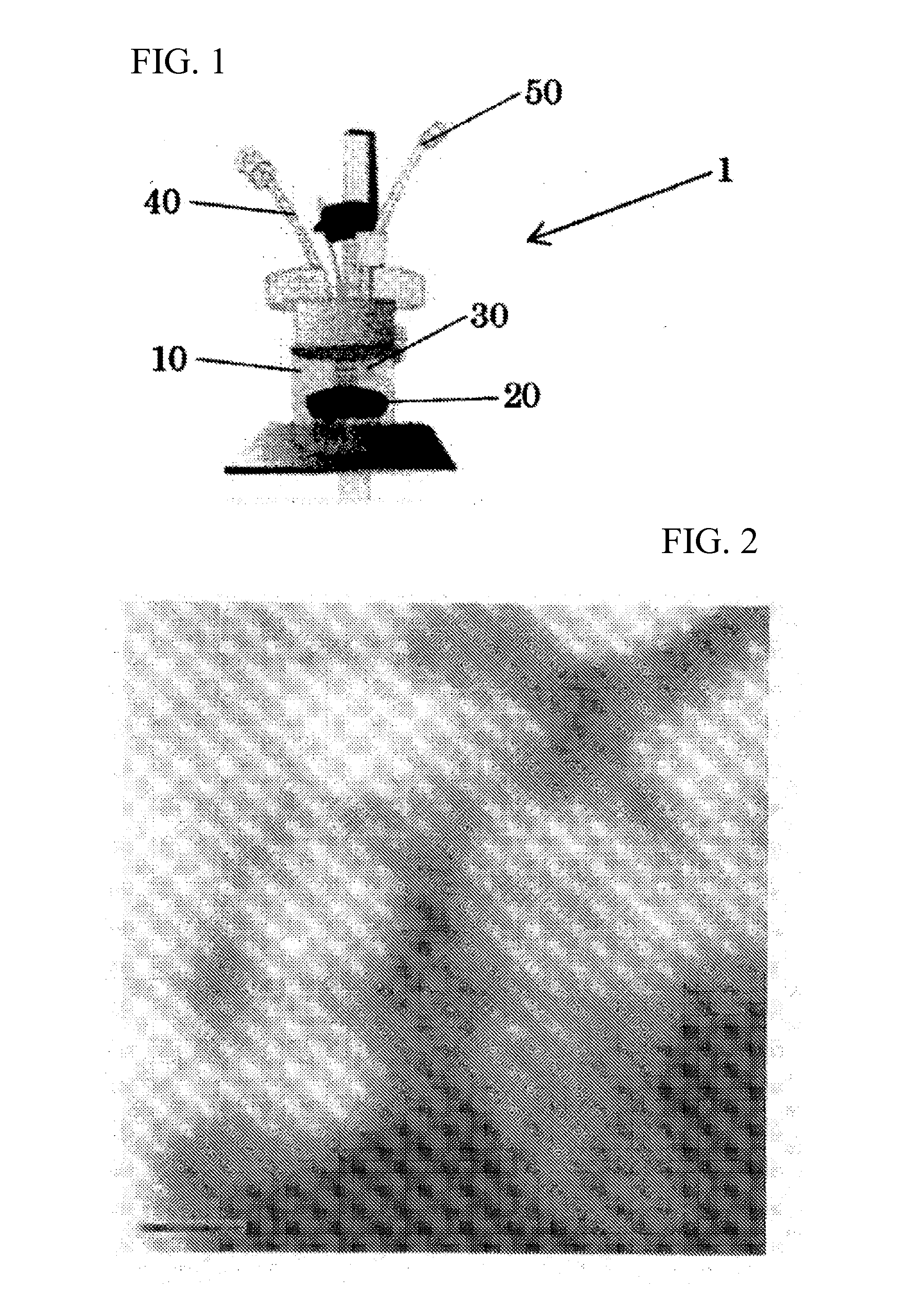 Gold cluster catalyst and method for producing same