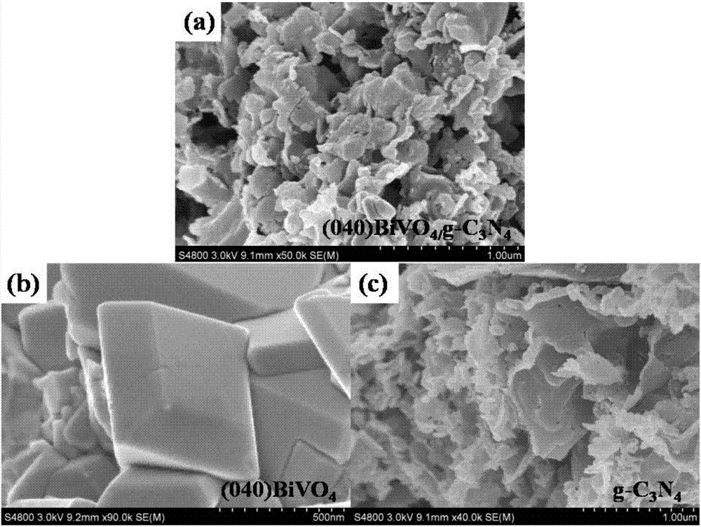 Carbon nitride/(040) crystal face bismuth vanadate hetero-junction and preparation method and application thereof