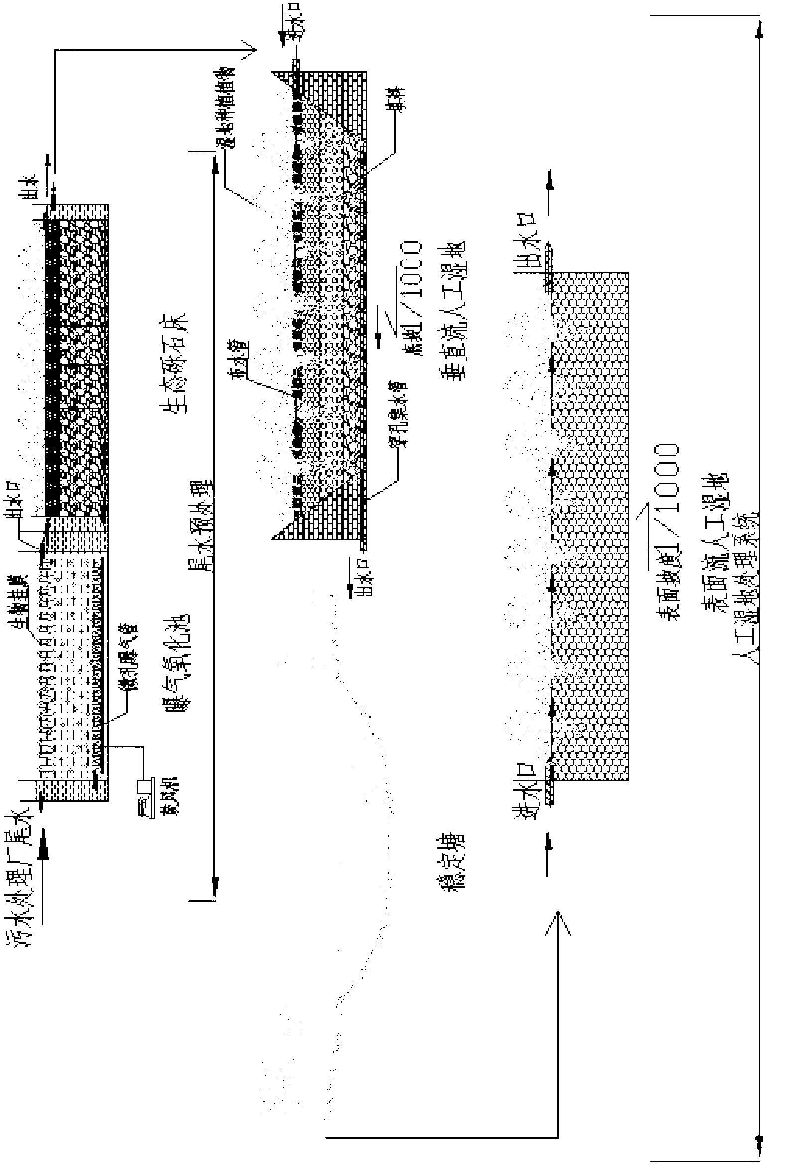 Compound constructed wetland tail water treatment system