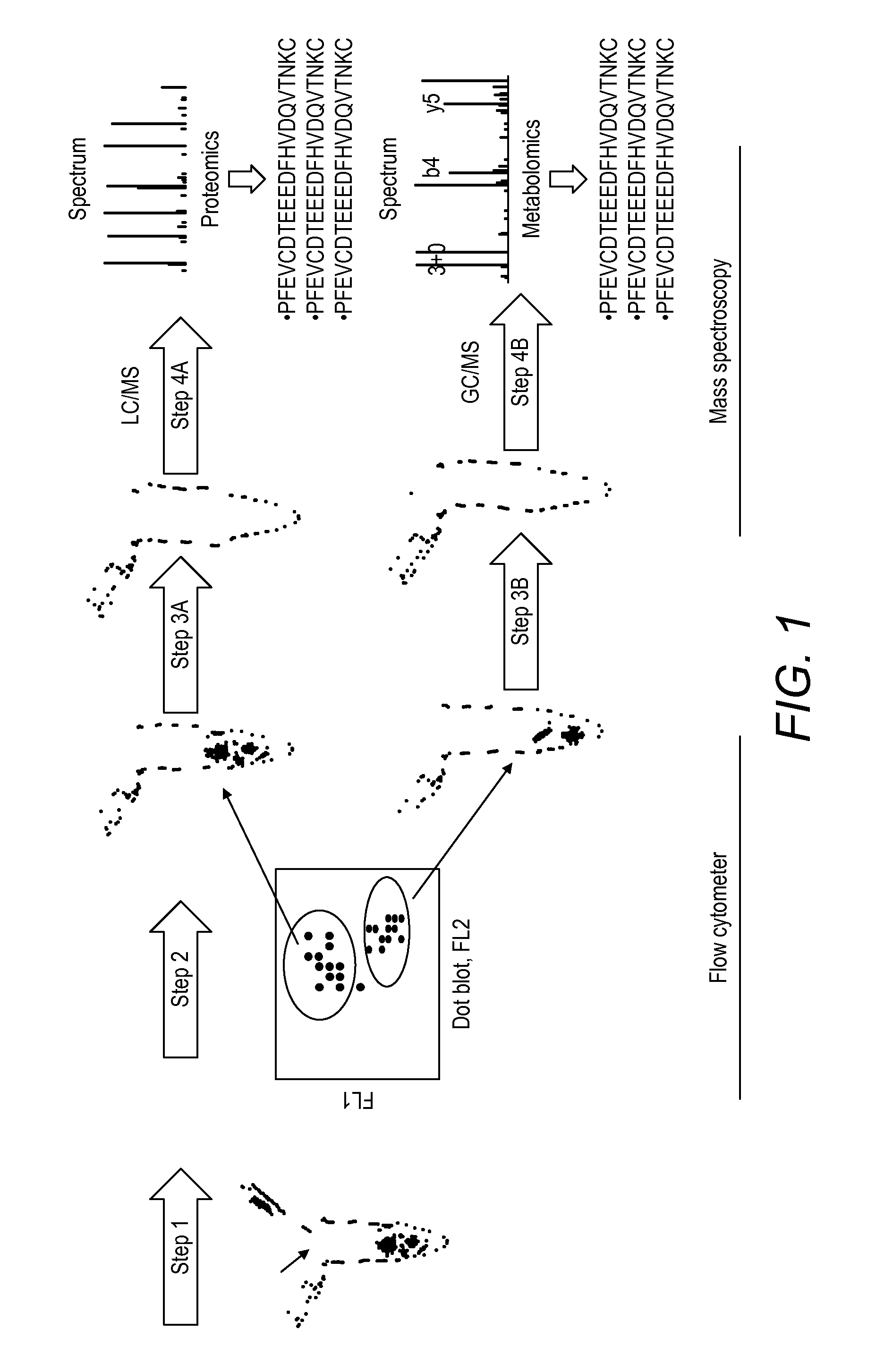 Method, composition, isolation and identification of a plaque particle and related biomarker