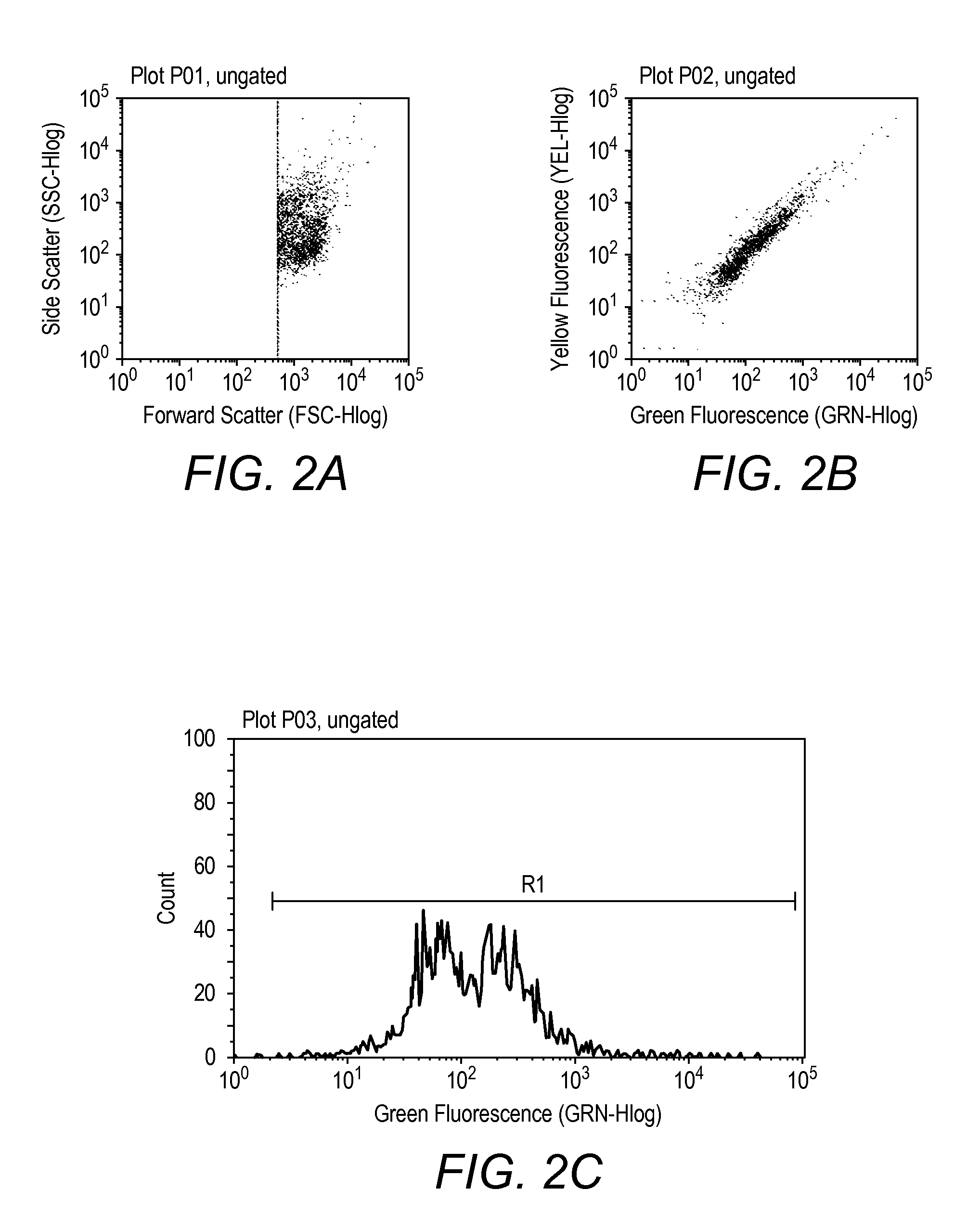 Method, composition, isolation and identification of a plaque particle and related biomarker