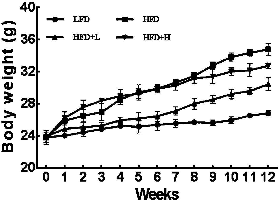 Fat reducing application of taro leaf polysaccharide