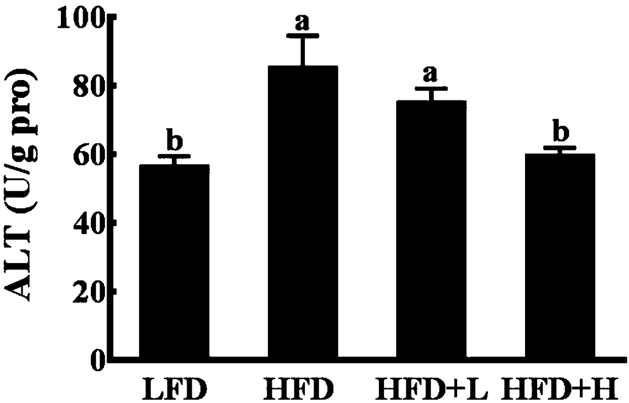 Fat reducing application of taro leaf polysaccharide