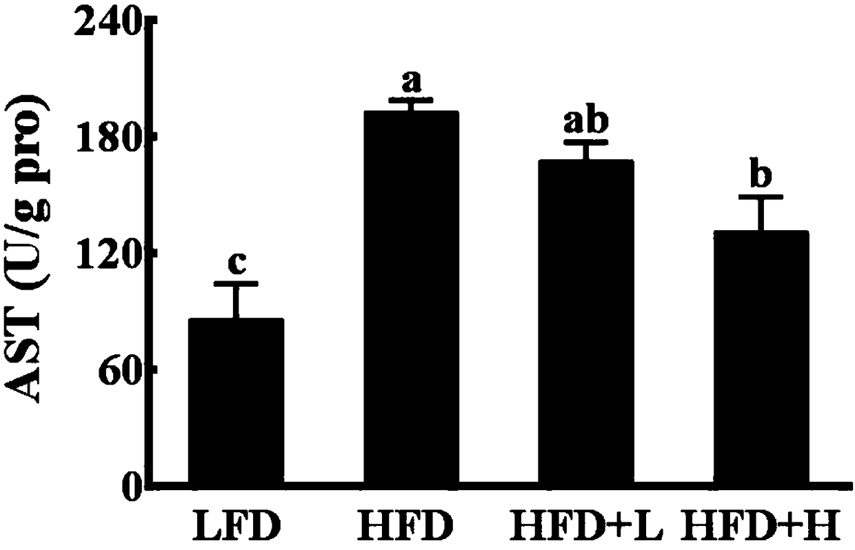 Fat reducing application of taro leaf polysaccharide