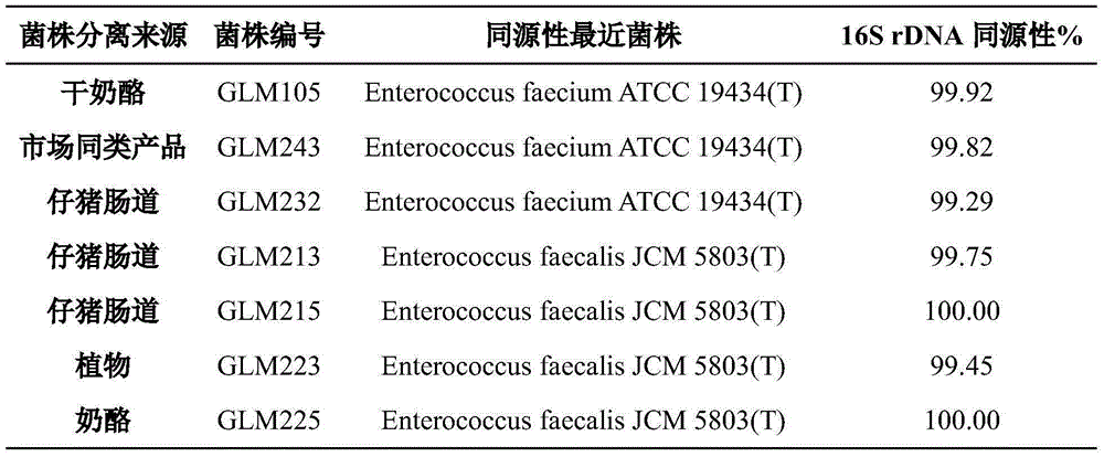 Enterococcus faecium, culture medium thereof for high-density solid-state fermentation, and high-density solid-state fermentation method