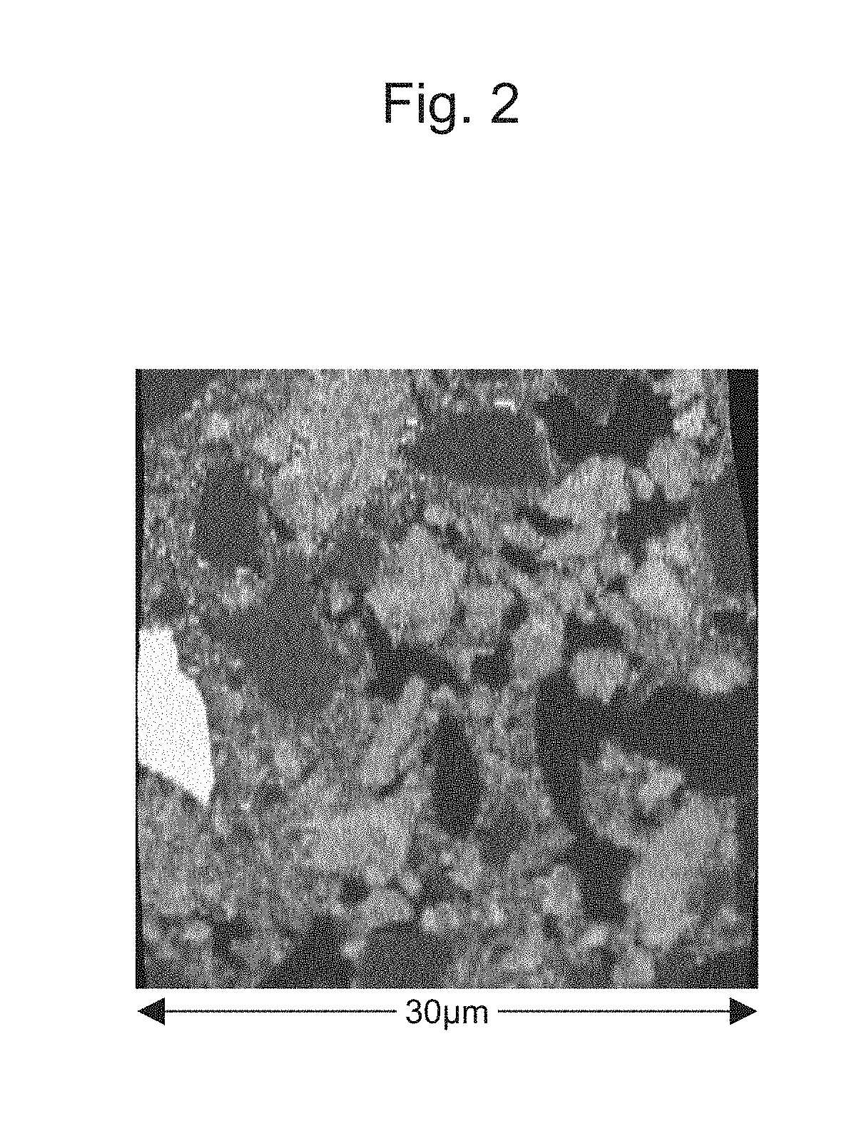 Exhaust gas purification catalyst