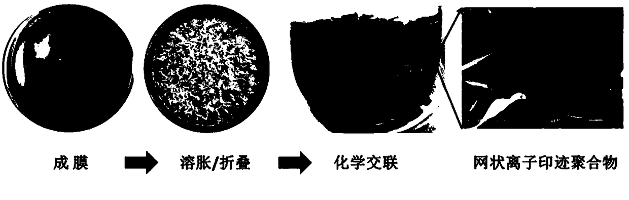 A kind of network ion imprinted polymer, its preparation method and application