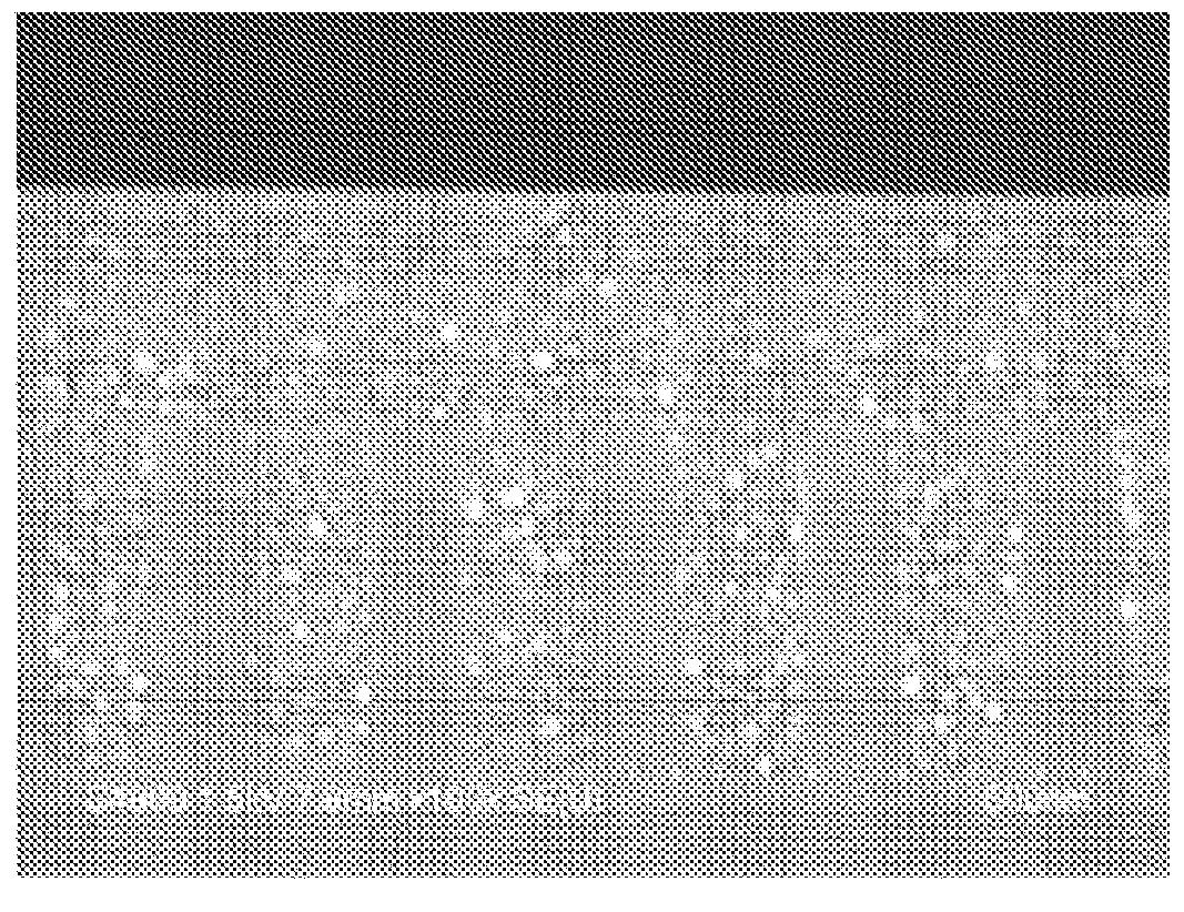 Resist underlayer film-forming composition which contains phenylindole-containing novolac resin